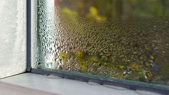 When to repair or replace your windows