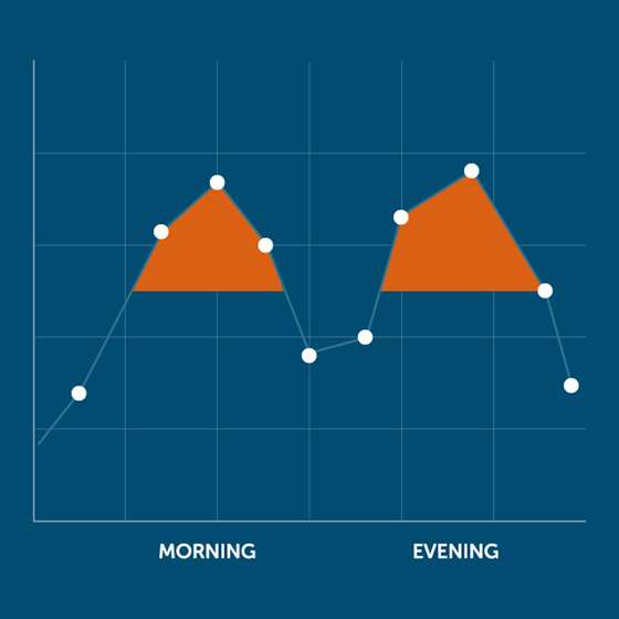 A chart demonstrating a morning and an evening peak demand period