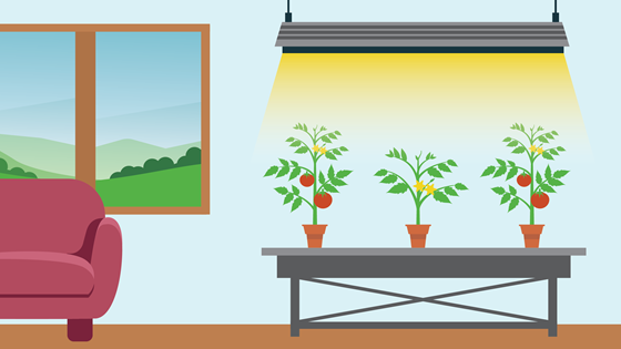 What is an LED grow light?