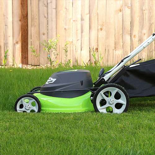 An electric lawn mower in a lawn