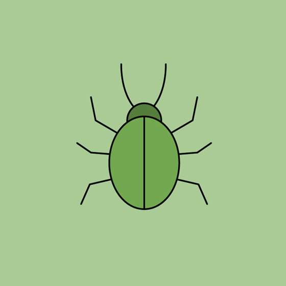 A graphic of a bug
