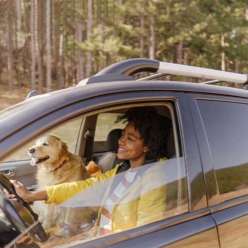 A woman and her dog driving on a fall day
