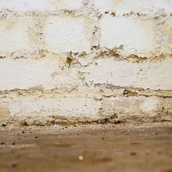 Water on the floor of a basement