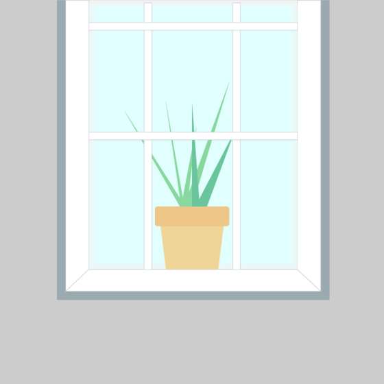window with a spiky green plant in the center