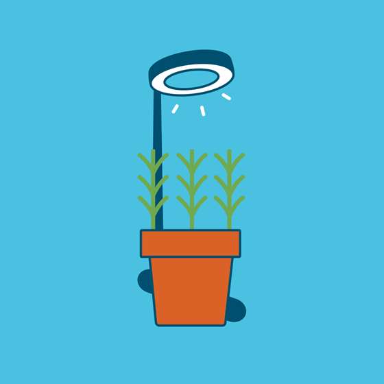 illustration of a small kitchen herb garden with a round LED grow light above 