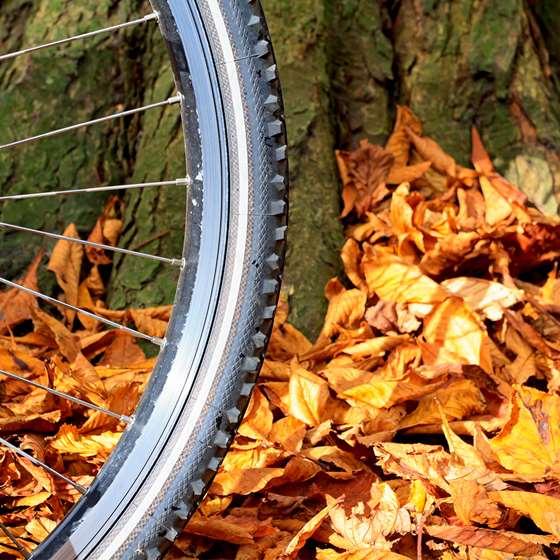 The wheel of a bike going through some wheels