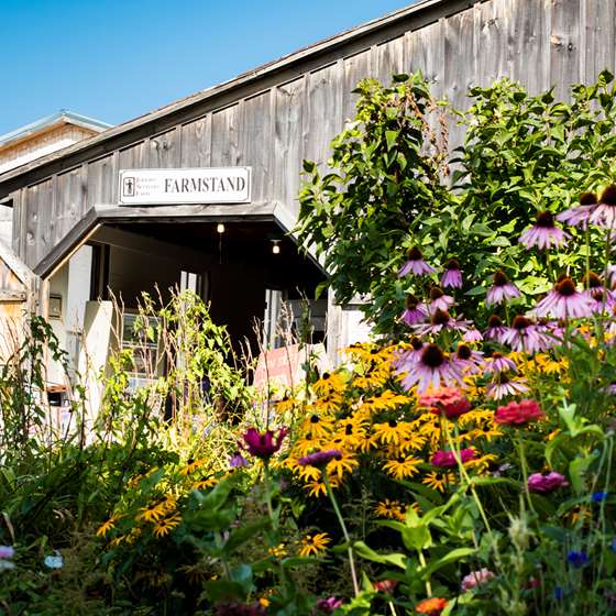 The entrance to the farmstand at Jericho Settler's farm