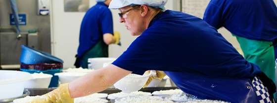 Image of worker at a dairy processing facility