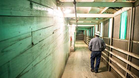 Walking down the hallway at Blue Seal