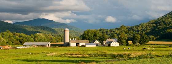 Panoramic shot of a big dairy farm in an open field with hills and a mountain in the background. There are several cows grazing to the right in the field. It's cloudy over the barn but sunny over the field.