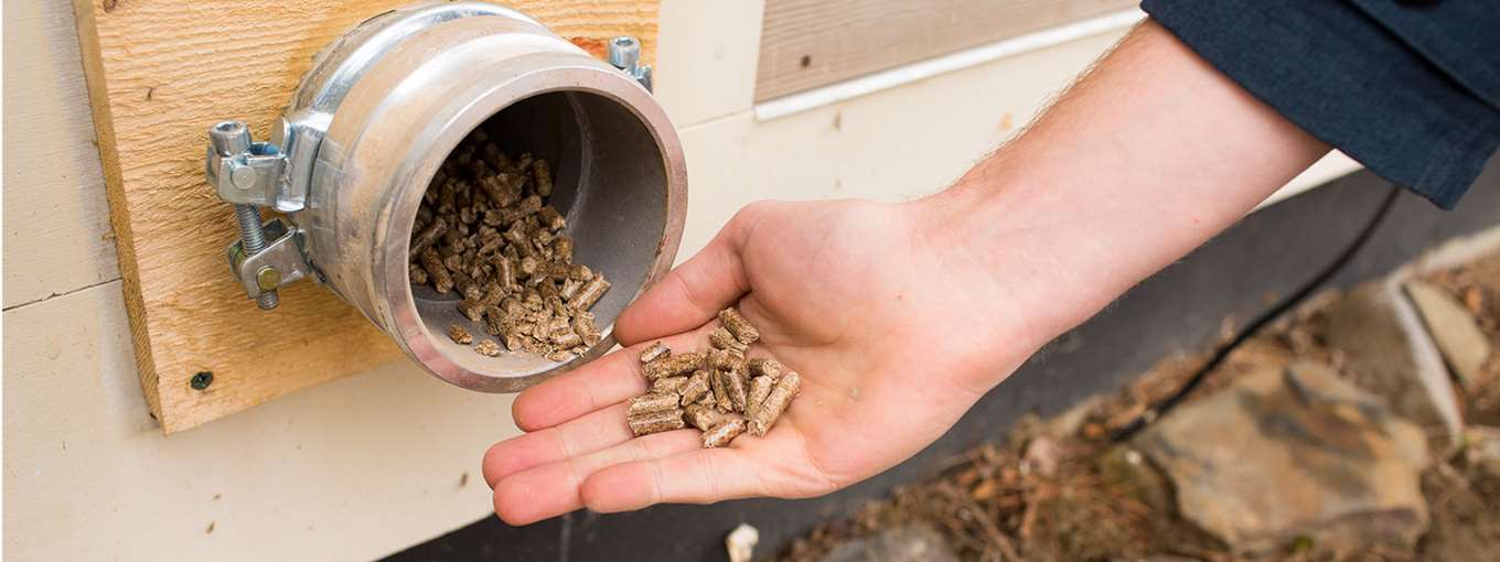 A hand holding some wood pellets