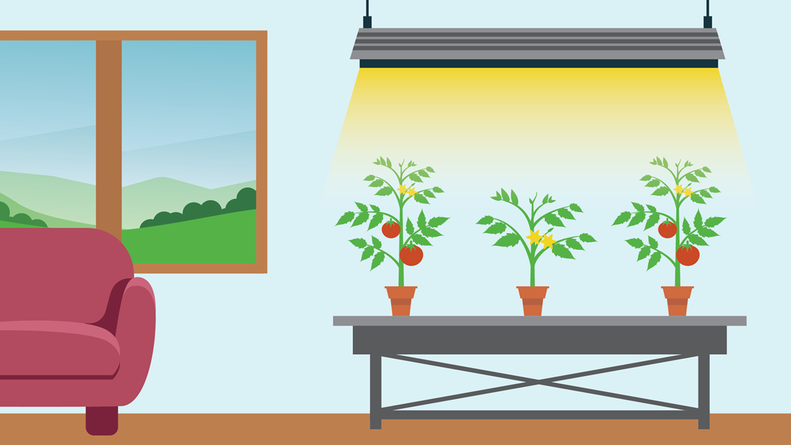 Leds For Indoor Growing Efficiency Vermont