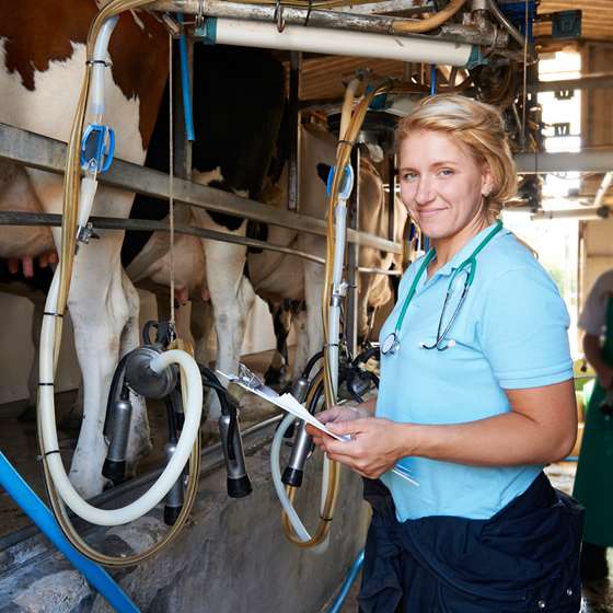 Where Farm Lighting Is Used