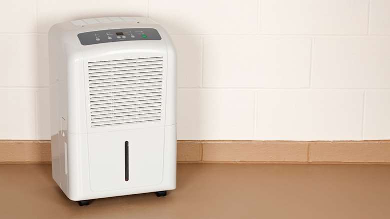 Dehumidifiers & Air Purifiers
