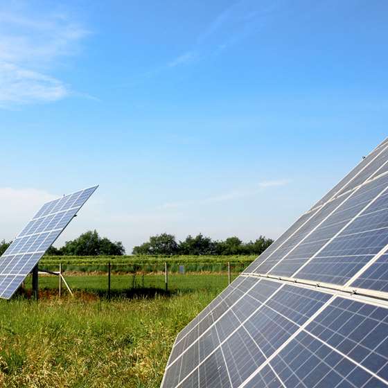 Solar Electric: Own it or Share it 