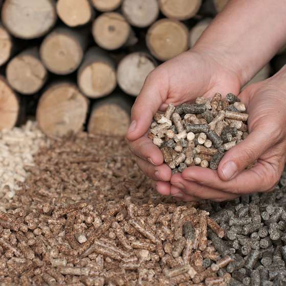 Wood Fuels 