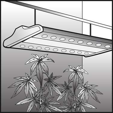 An illustration of a Equipment for Indoor Growing Operations