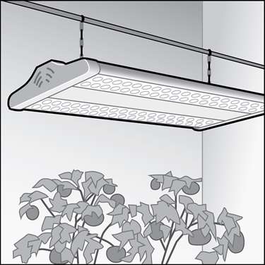 An illustration of a Greenhouse Equipment