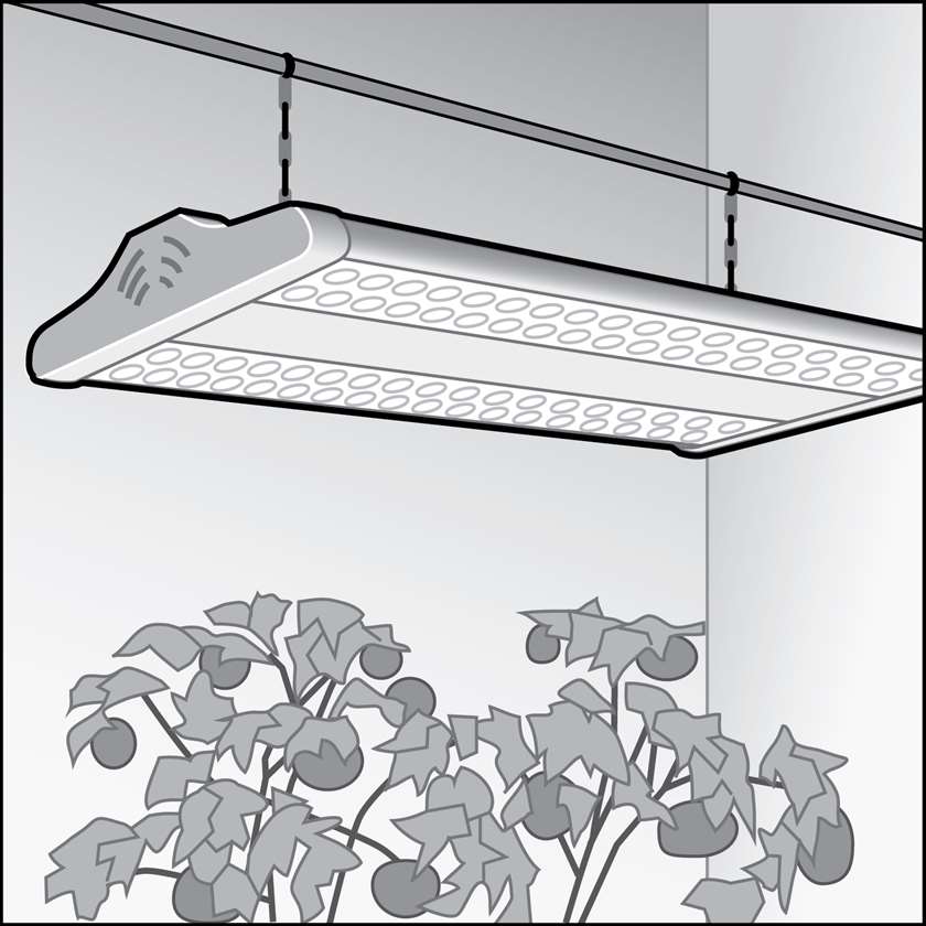 An illustration of a LEDs for Indoor Growing
